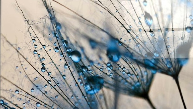 Glass Wall Art