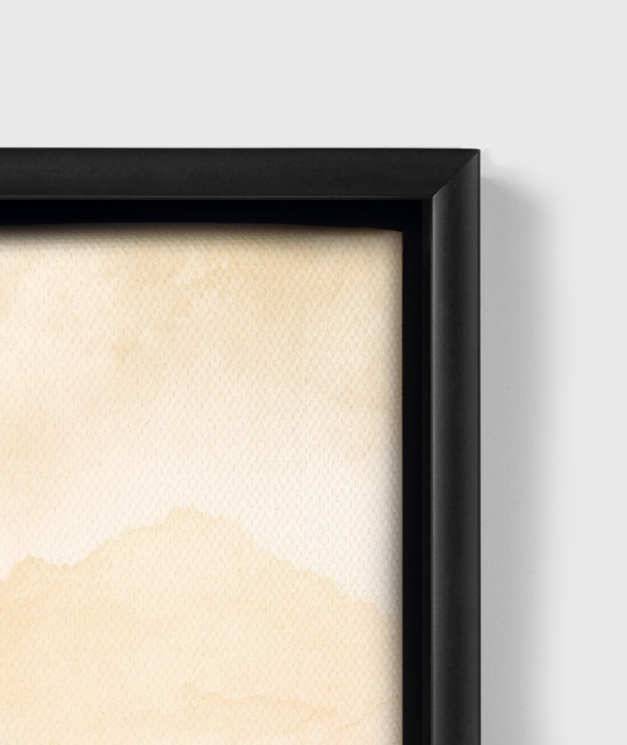 Tatooine Binary Sunrise Star Wars Framed Canvas Art