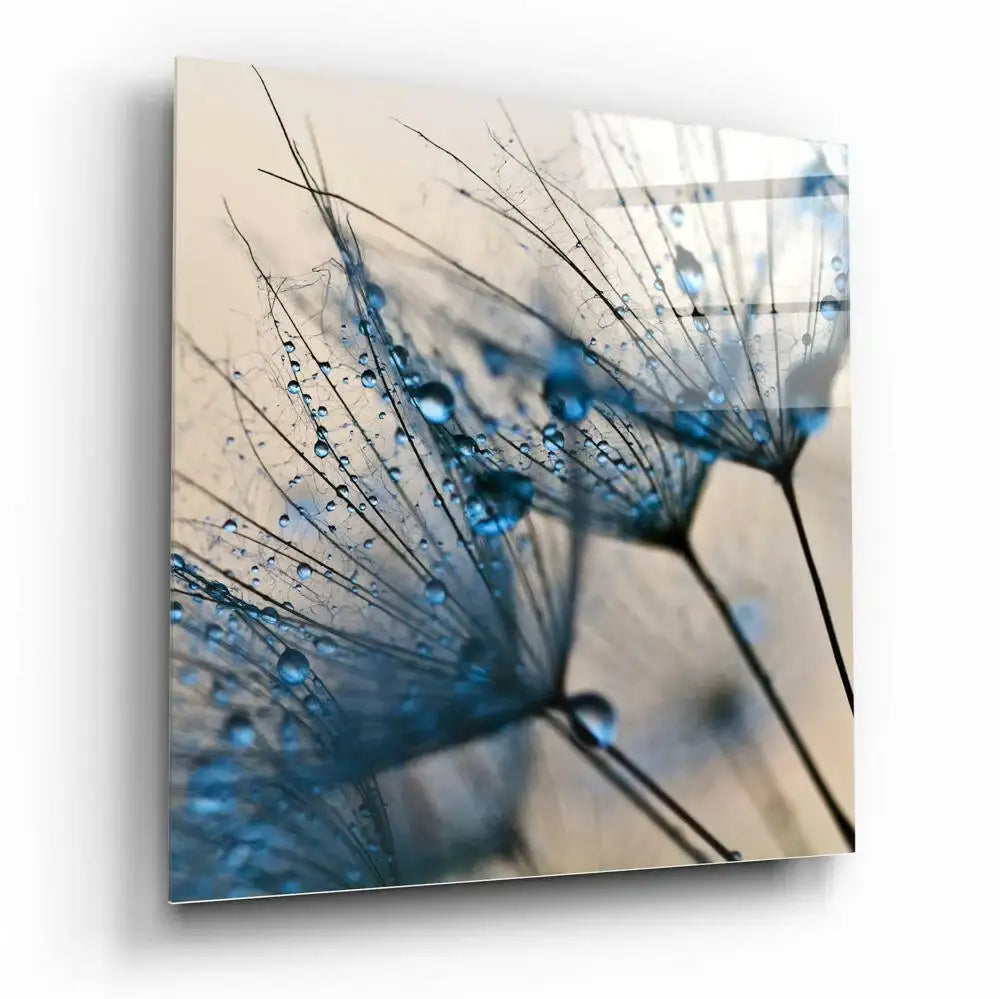 Blue dandelion seeds with dew drops, abstract wall art for home decor